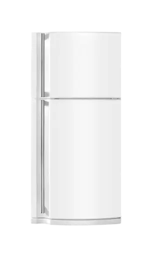 Samsung 256 L Frost Free Double Door 2 Star Refrigerator 